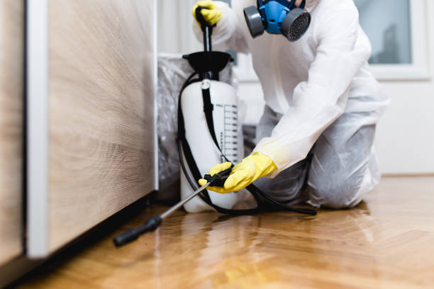 Best Pest Prevention Services  in Orrville, OH