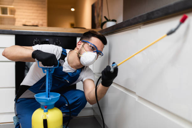Best Wasp Removal Services  in Orrville, OH