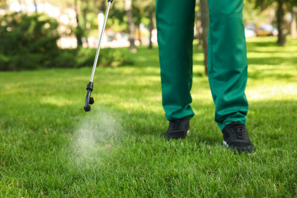 Best Pest Removal Services  in Orrville, OH