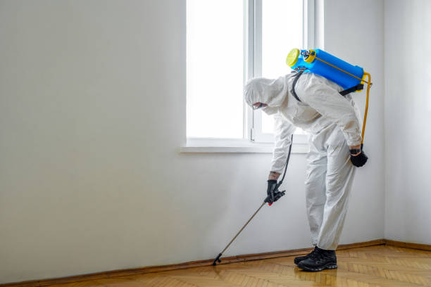 Best Pest Inspection Near Me  in Orrville, OH