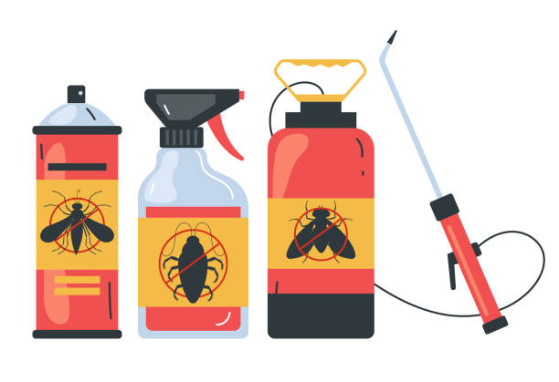 Best Ant Control Services  in Orrville, OH