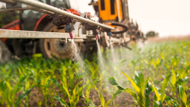 Best Wildlife Control Services  in Orrville, OH